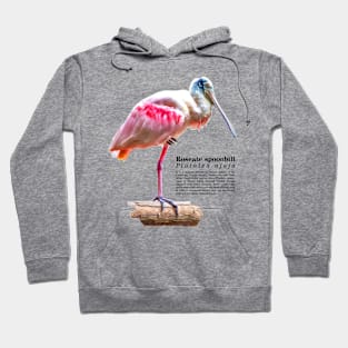 Roseate spoonbill tropical bird black text Hoodie